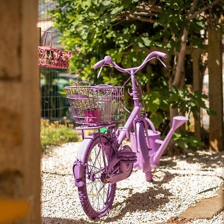 Casa Parenzana Apartment Porec Ngoại thất bức ảnh